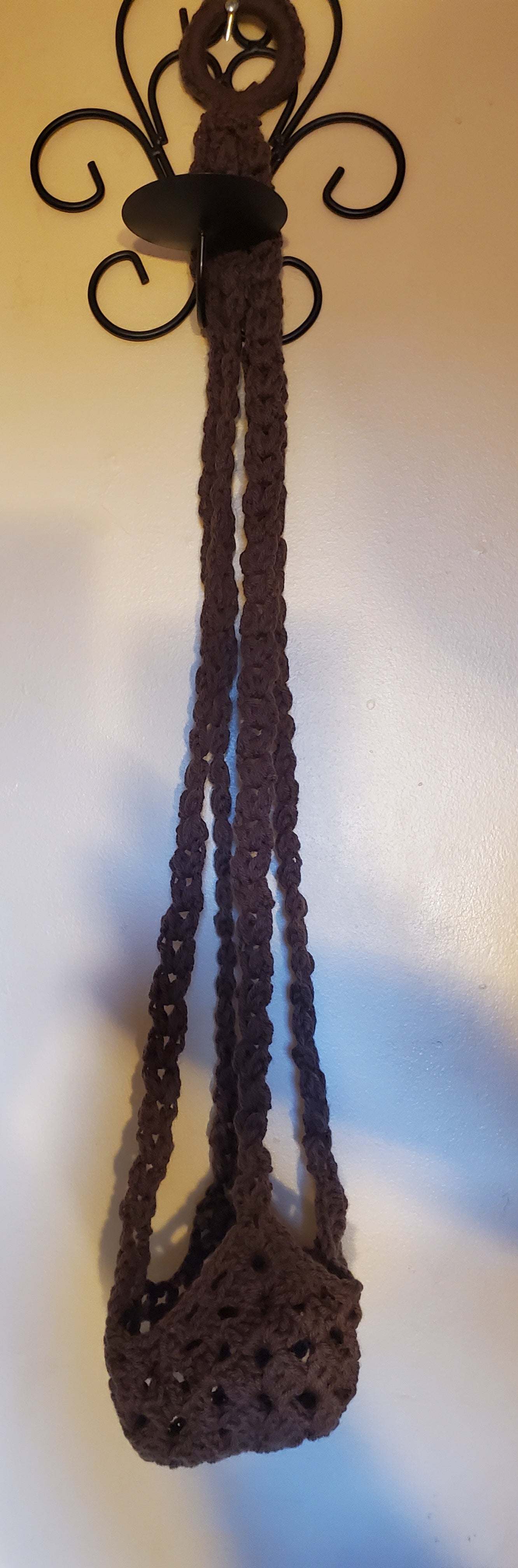 Medium Sized Potted Plants - Home